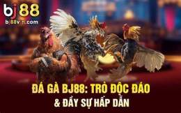 tính năng nổi bật bj88 đá ga