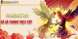 tính năng nổi bật c1 c2 c3 trong đá gà là gì