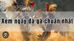 tính năng nổi bật cach xem ngay da ga