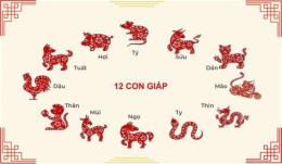 tính năng nổi bật cách xem ngày gà đá theo 12 con giáp