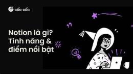 tính năng nổi bật cám gạo làm đẹp da