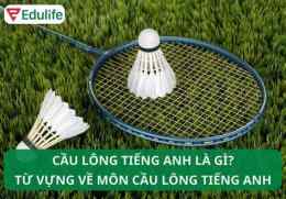 tính năng nổi bật cầu đá lông gà tiếng anh