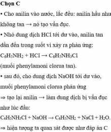 tính năng nổi bật chó ăn đá gà ăn sỏi có nghĩa là gì