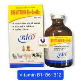 tính năng nổi bật cho gà uống b1 trước khi đá