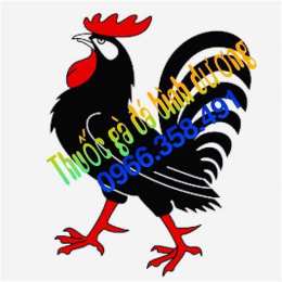 tính năng nổi bật chợ tốt, gà đá bình dương