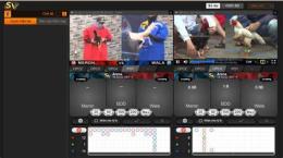 tính năng nổi bật clip đá gà casino