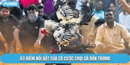 tính năng nổi bật clip đá gà đòn thomo