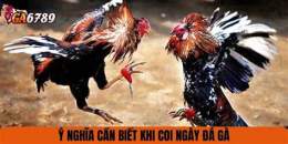 tính năng nổi bật coi ngay da ga cua sat