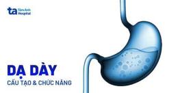 tính năng nổi bật dạ dày bọc gà