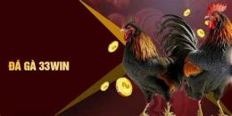 tính năng nổi bật đá gà 33win 33win.tech