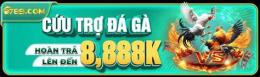tính năng nổi bật đá gà 6789 uy châu á