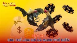 tính năng nổi bật đá gà 89bet01
