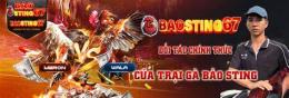 tính năng nổi bật da ga baosting hom nay