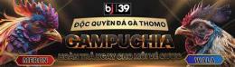tính năng nổi bật đá gà bj39