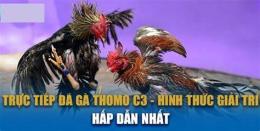 tính năng nổi bật đá gà c3 15/10