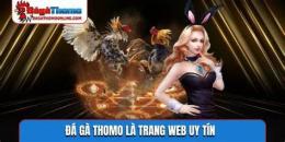tính năng nổi bật đa ga c3 hôm nay