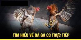 tính năng nổi bật đá gà c3 ngày 12 tháng 12