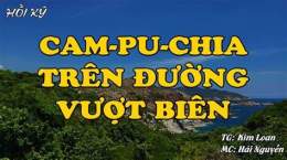tính năng nổi bật đá gà cam phu chia