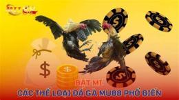 tính năng nổi bật đá gà cần giờ