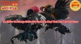 tính năng nổi bật da ga choi thai lan