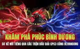tính năng nổi bật đá gà cpc3 hôm nay trận 28