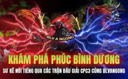 tính năng nổi bật đá gà cpc3 ngày 23 trận 22