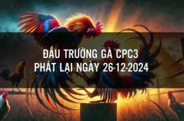 tính năng nổi bật đá gà cpc3 ngày 26 10