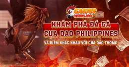 tính năng nổi bật đá gà cựa dao philippines ga choi viet