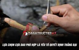 tính năng nổi bật đa gà cua dao trực tiếp
