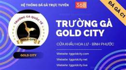 tính năng nổi bật đá gà đơn gold city