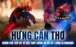 tính năng nổi bật đá gà duyên ti c3
