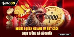 tính năng nổi bật đá gà hello88