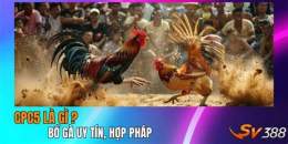 tính năng nổi bật đá gà hợp pháp
