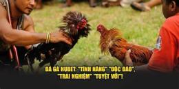 tính năng nổi bật đá gà hubet