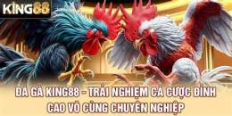 tính năng nổi bật da ga king88