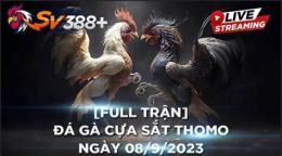 tính năng nổi bật đá gà mạng thomo ngày hôm nay