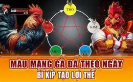 tính năng nổi bật da ga mau mang theo ngay