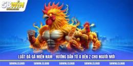 tính năng nổi bật da ga mien nam