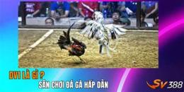 tính năng nổi bật đá gà ngày 11/12