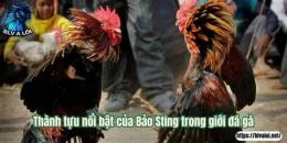 tính năng nổi bật đá gà ngày 27 thắng 3