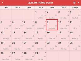 tính năng nổi bật da ga ngay 6 9 2024