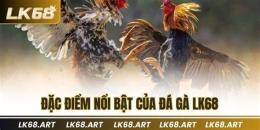 tính năng nổi bật đá gà ngày 6 tháng 3