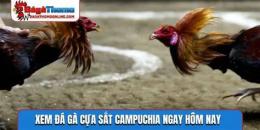 tính năng nổi bật da ga noi cua sat campuchia