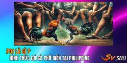tính năng nổi bật da ga philippine