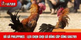 tính năng nổi bật đá gà philippines đá gà philippines