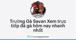 tính năng nổi bật đá gà savan hôm nay
