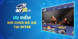tính năng nổi bật đá gà sky88