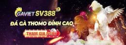 tính năng nổi bật da ga sv388 gavietsv388
