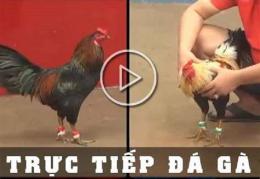 tính năng nổi bật da ga tho mo 5/7