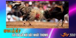 tính năng nổi bật da ga tho mo cpc 4